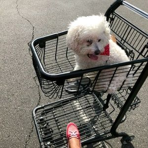 Meet your Posher, Anna